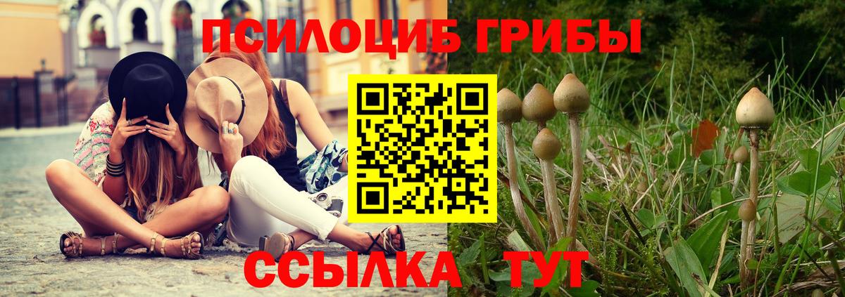 Елизово  Псилоцибиновые грибы Magic Shrooms  Псилоцибиновые грибы мицелий  Вход с VPN 